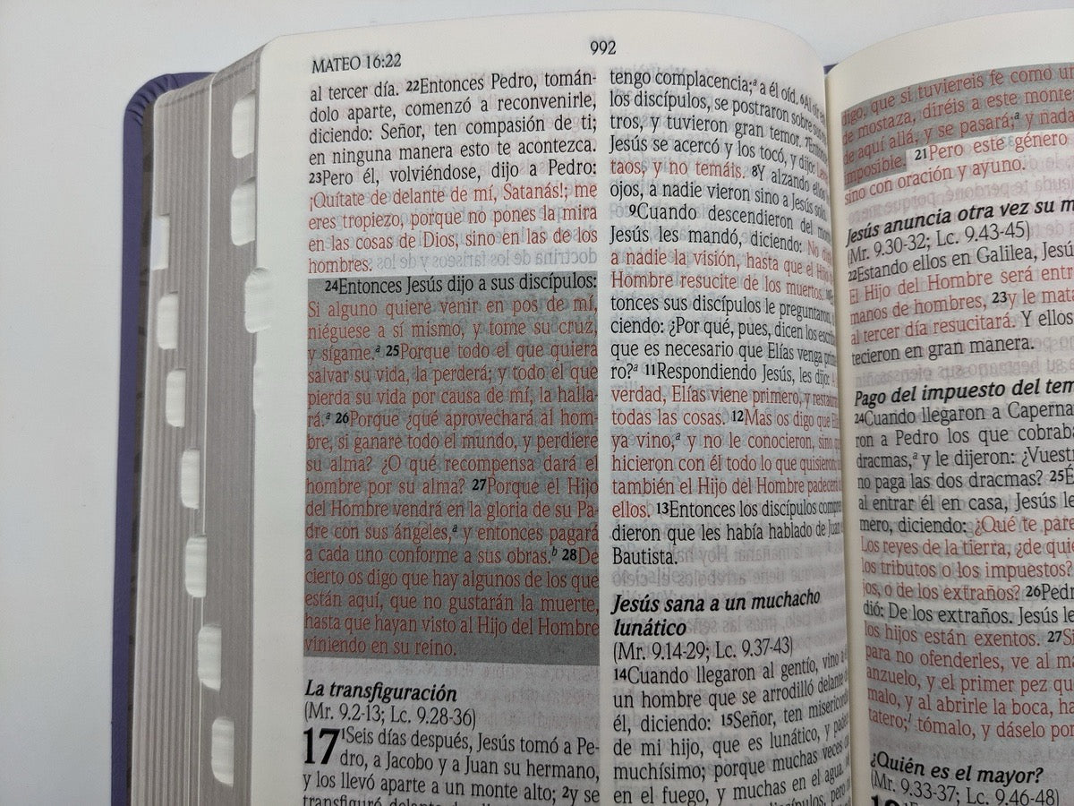 Biblia RVR60 de promesas Tamaño manual Letra grande