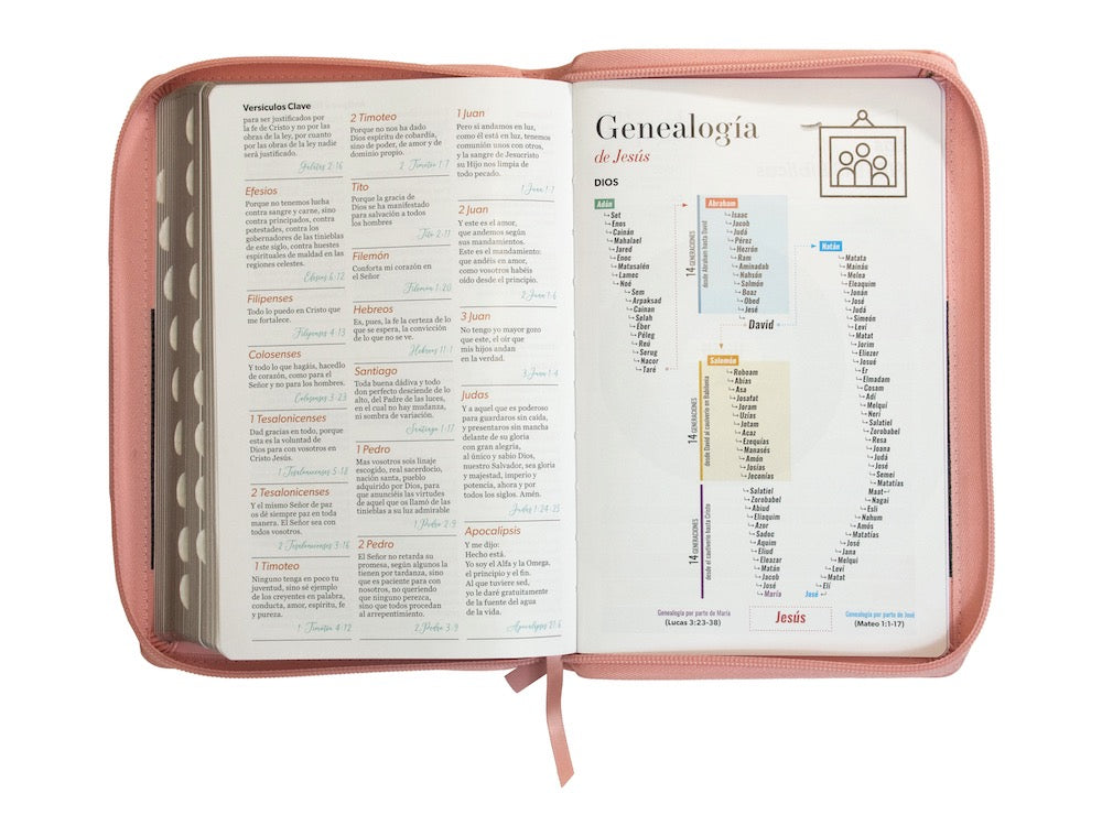 Biblia RVR60 Tamaño Manual Letra Grande rosa