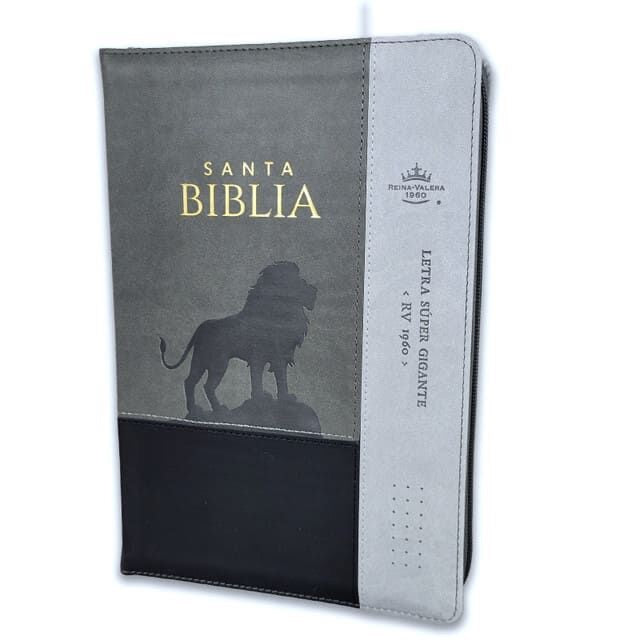 Libreria Cristiana Arca