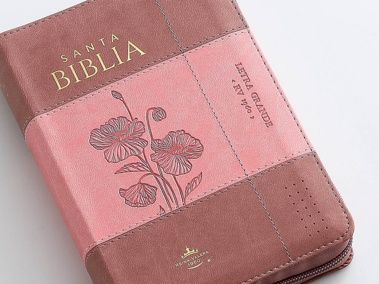Biblia RVR60 Tamaño Compacto Letra Grande 12 puntos