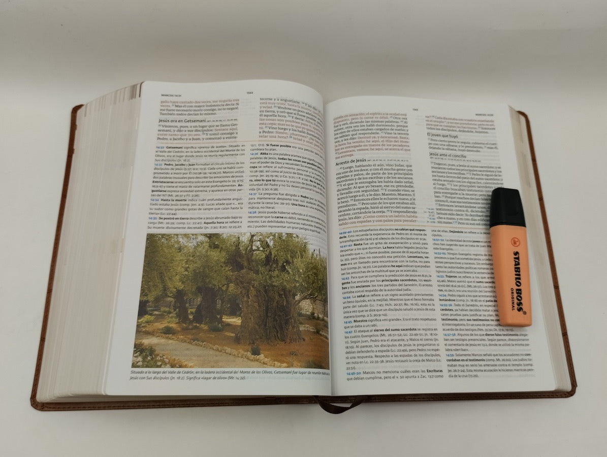 Biblia RVR 1960 de Estudio Holman Marrón Símil Piel