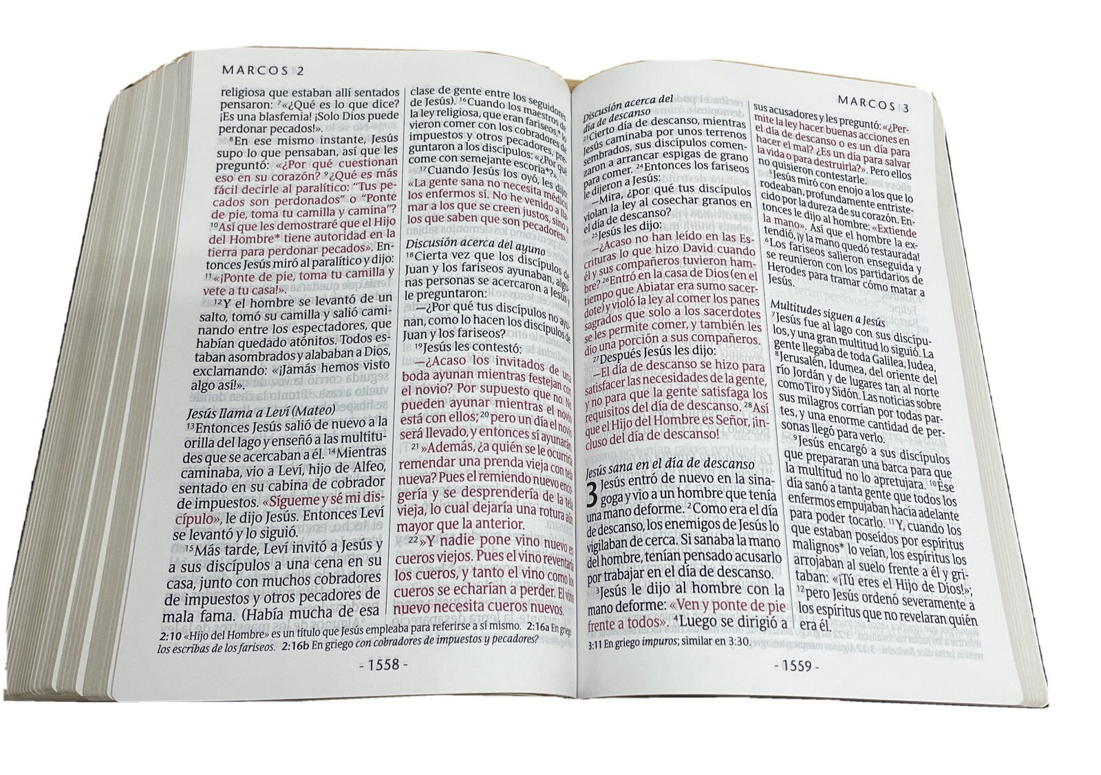 Libreria Cristiana Arca