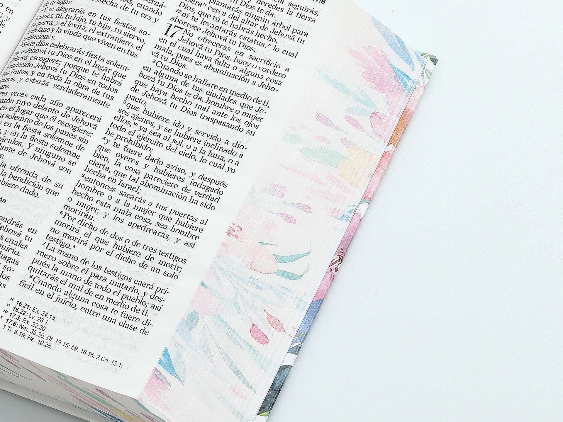 Biblia RVR60 tamaño manual letra grande tapa dura