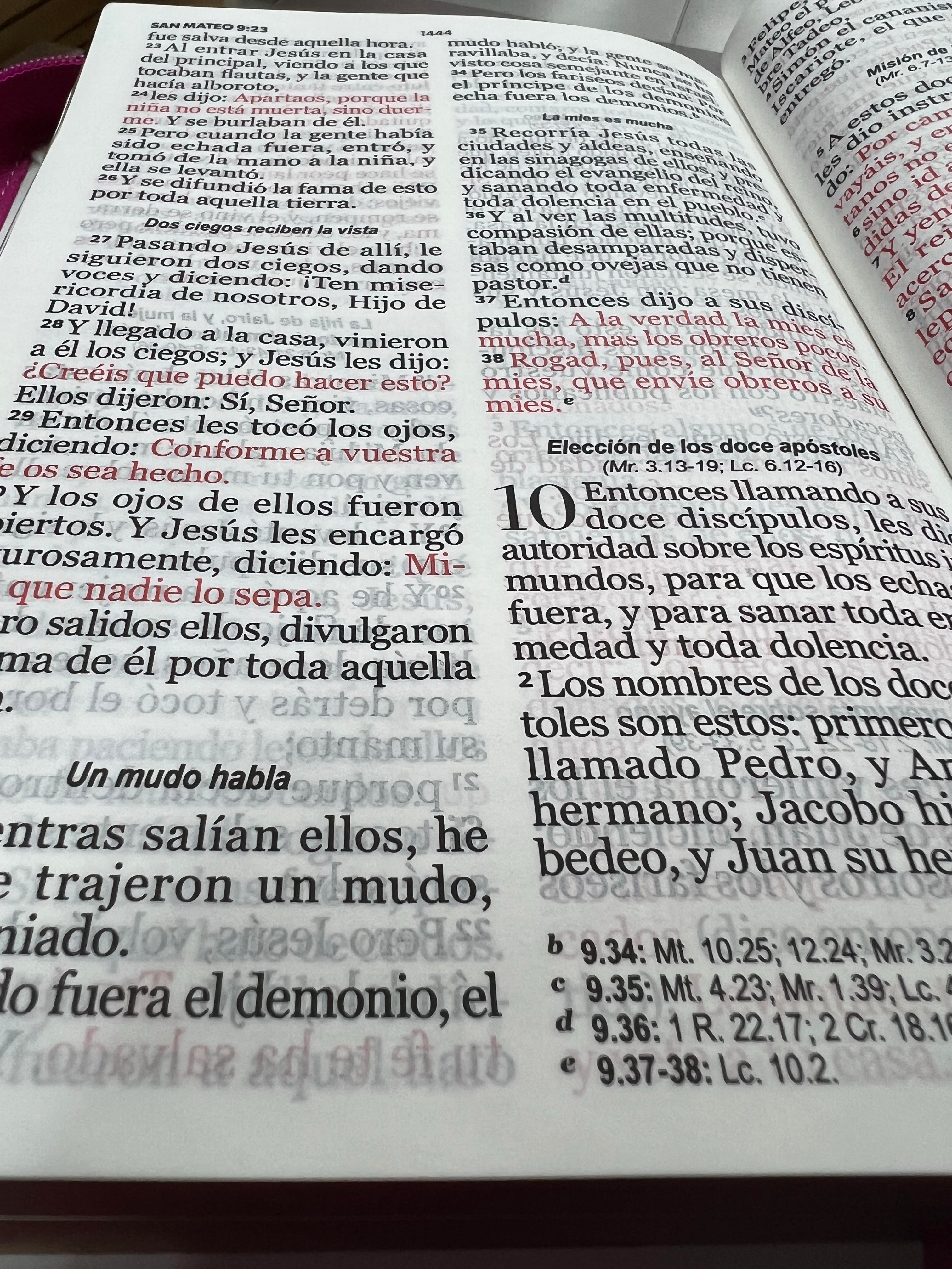 Biblia RVR 1960 Letra Gigante Símil Piel Flores