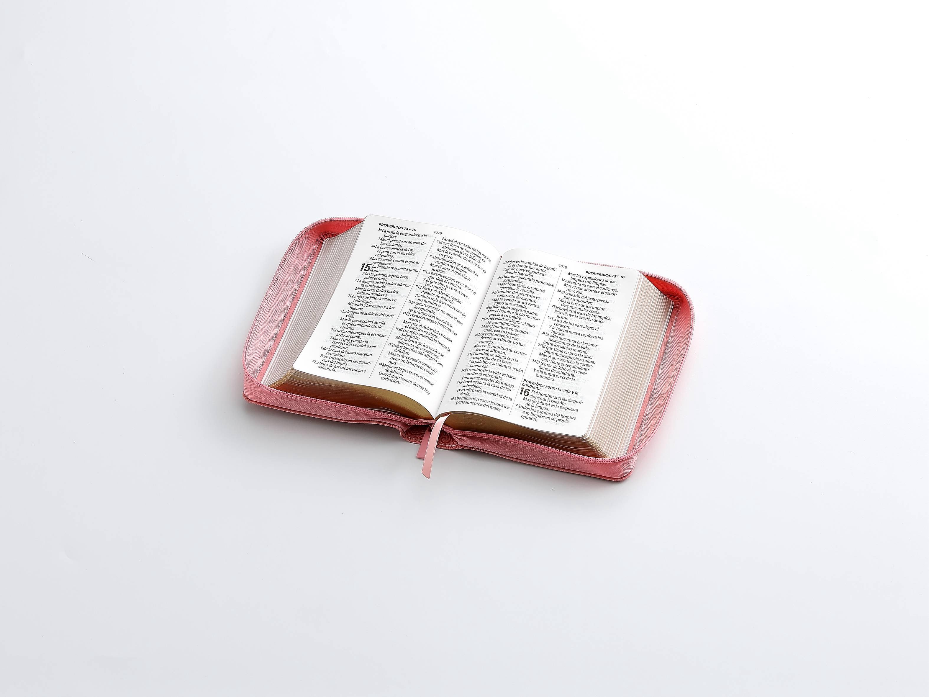 Libreria Cristiana Arca