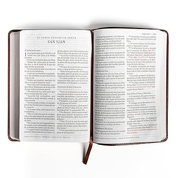 Libreria Cristiana Arca