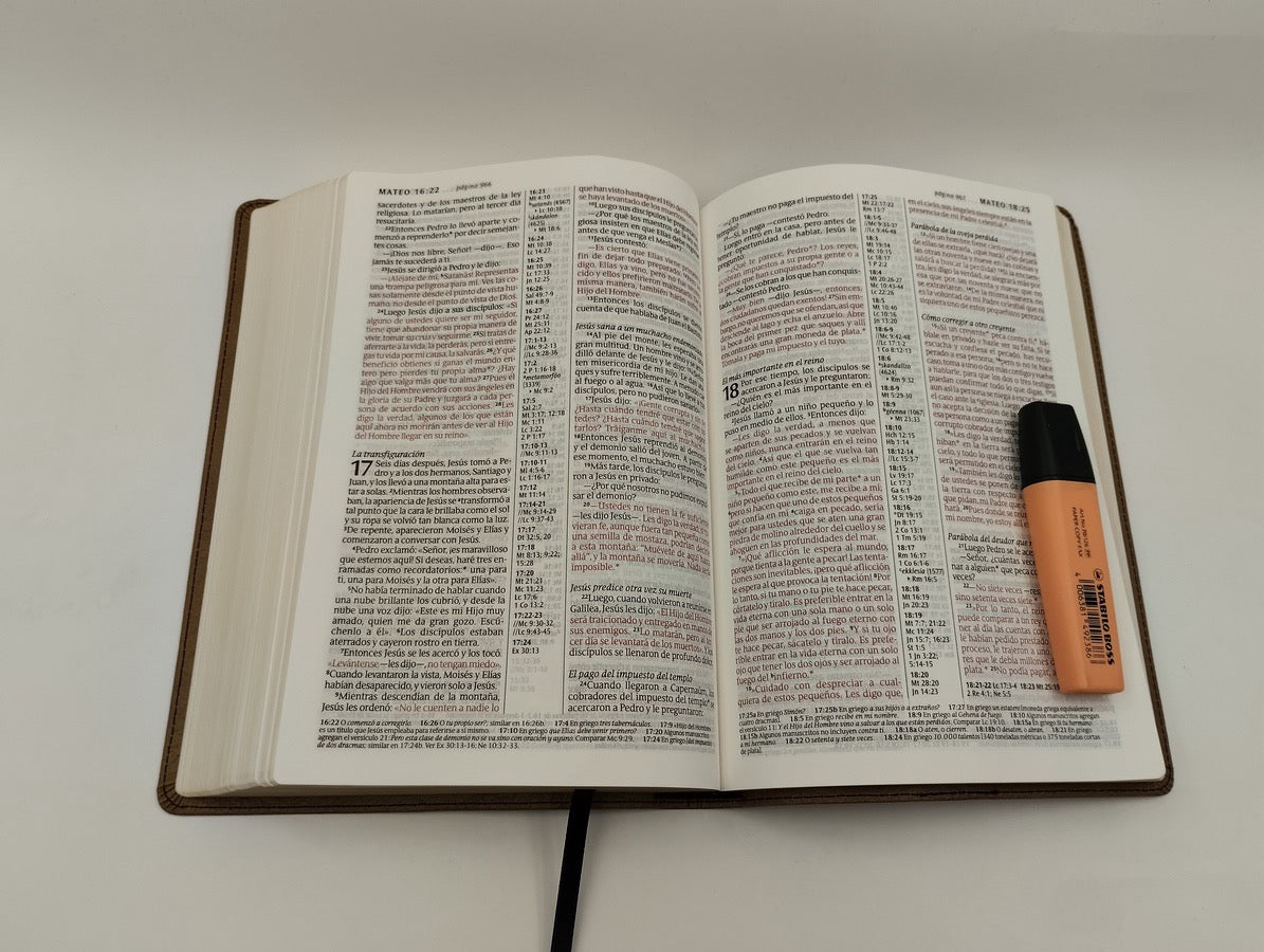 Biblia NTV Letra Grande Ultrafina