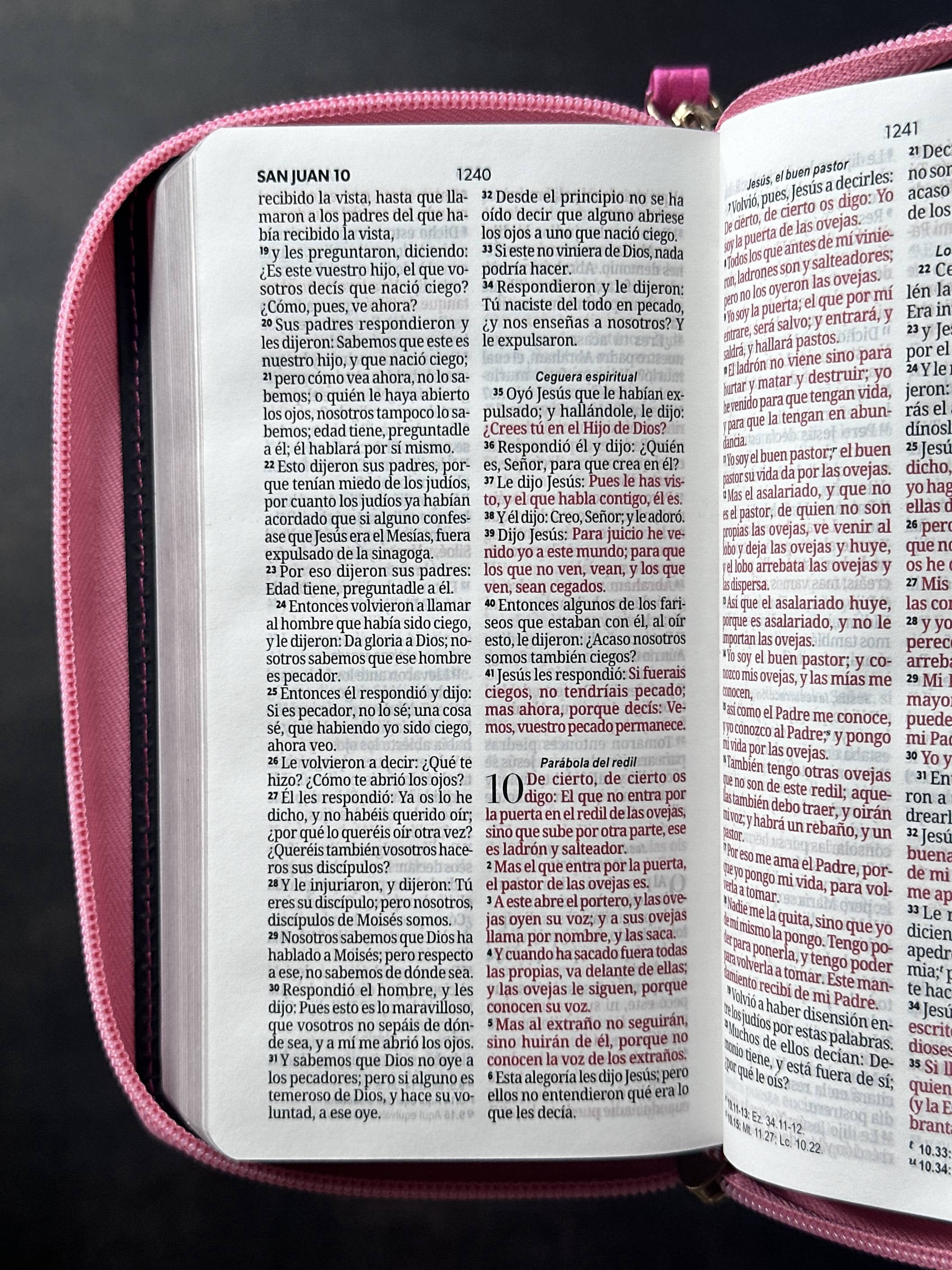 Libreria Cristiana Arca