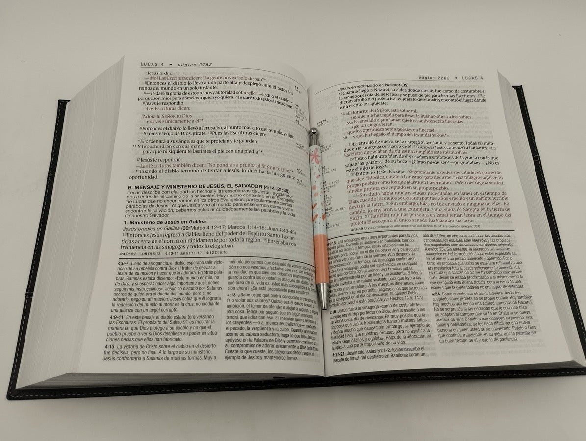 Biblia NTV de Estudio Diario Vivir Letra Grande Negro