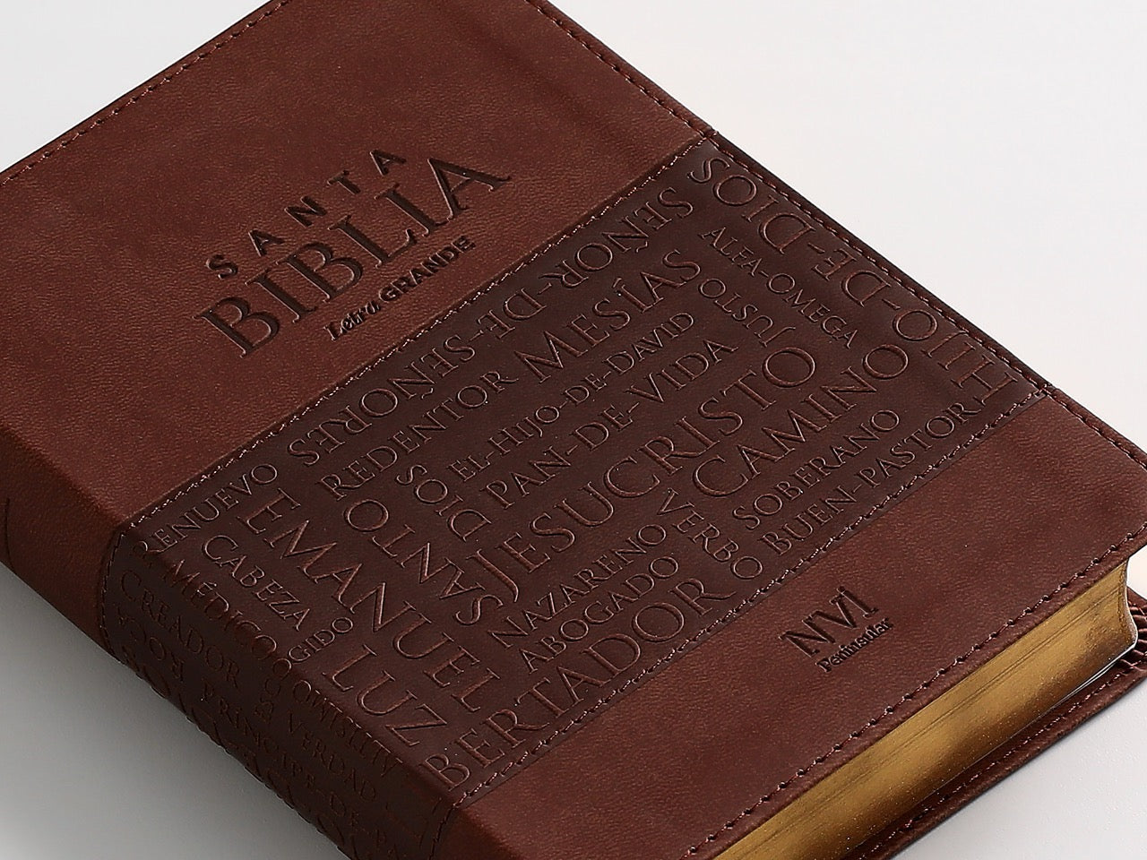 Libreria Cristiana Arca