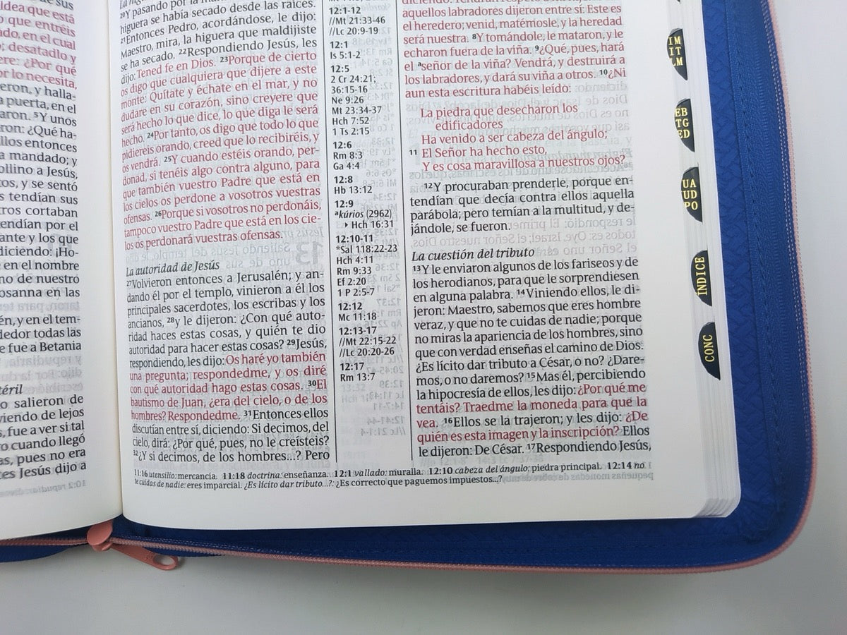 Libreria Cristiana Arca