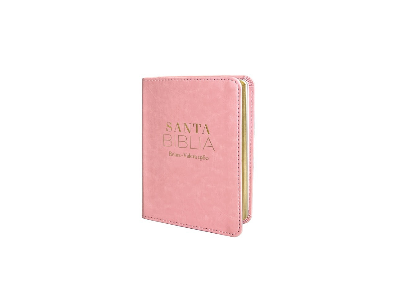 Libreria Cristiana Arca