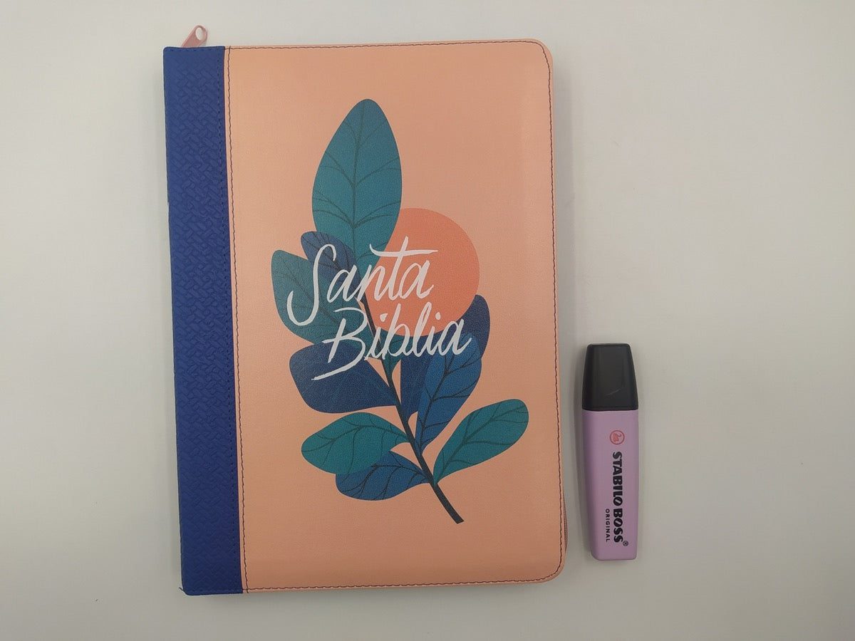 Biblia RVR60 Letra grande cierre