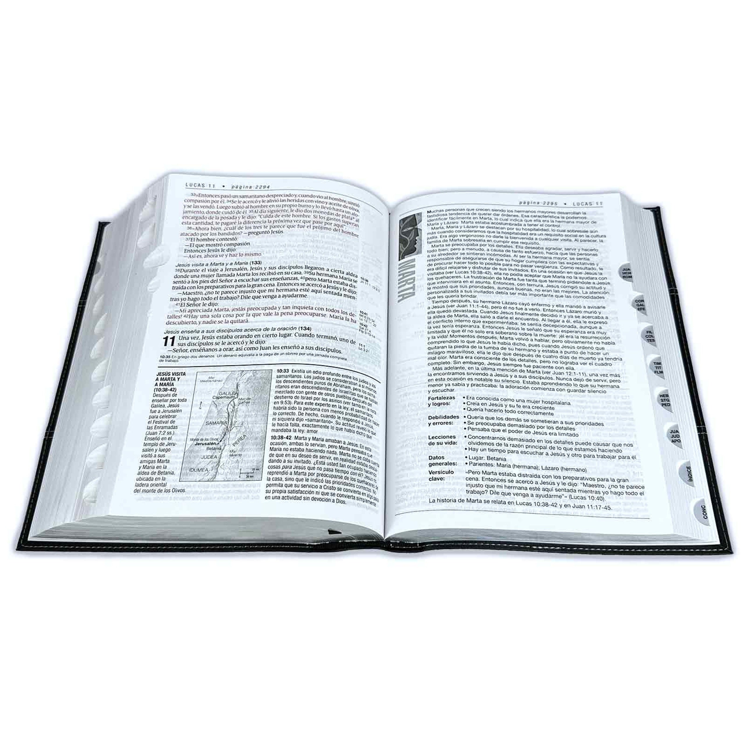 Biblia NTV de Estudio Diario Vivir Letra Grande con indice