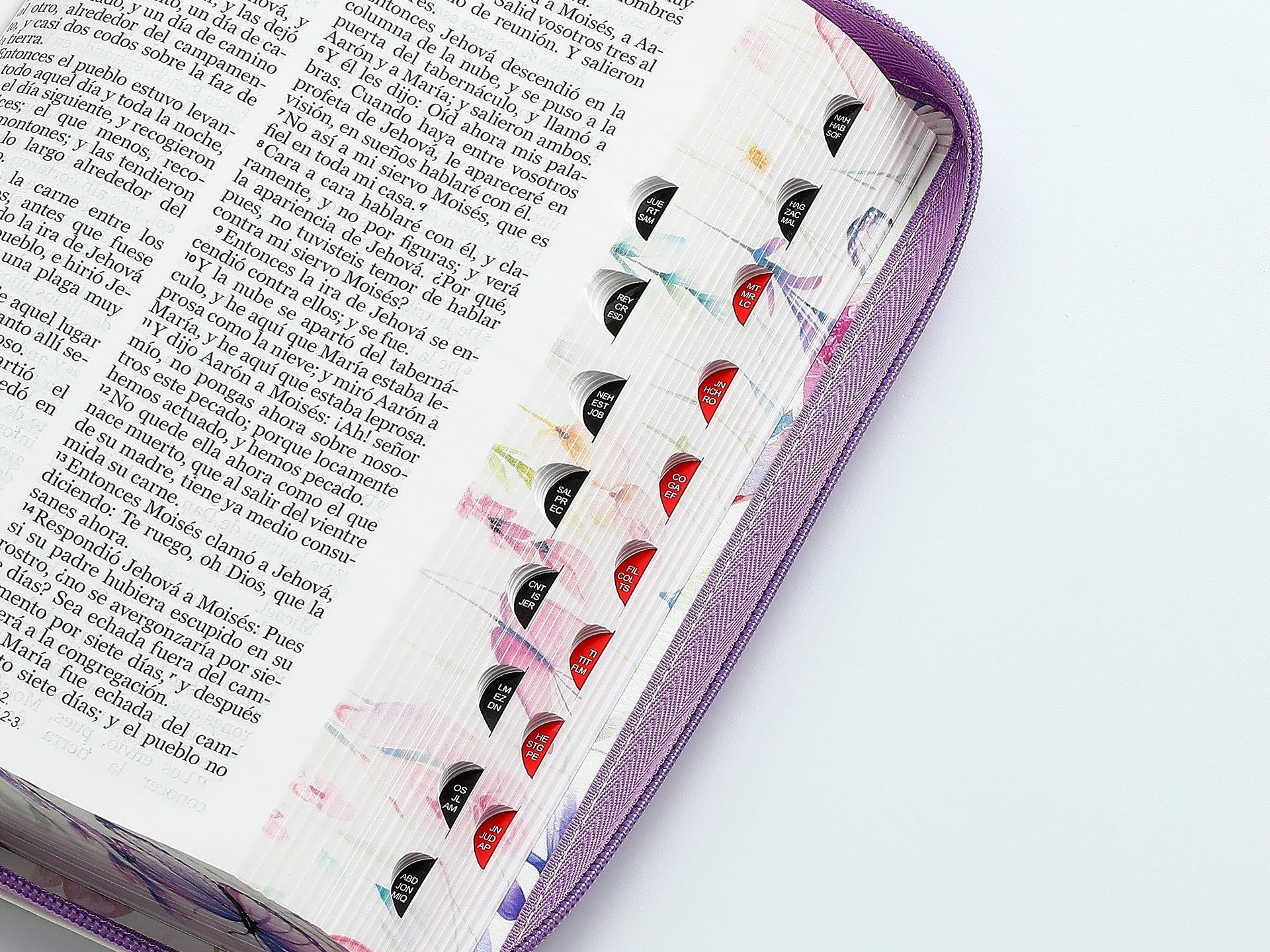 Biblia RVR60 tamaño manual letra grande Morado
