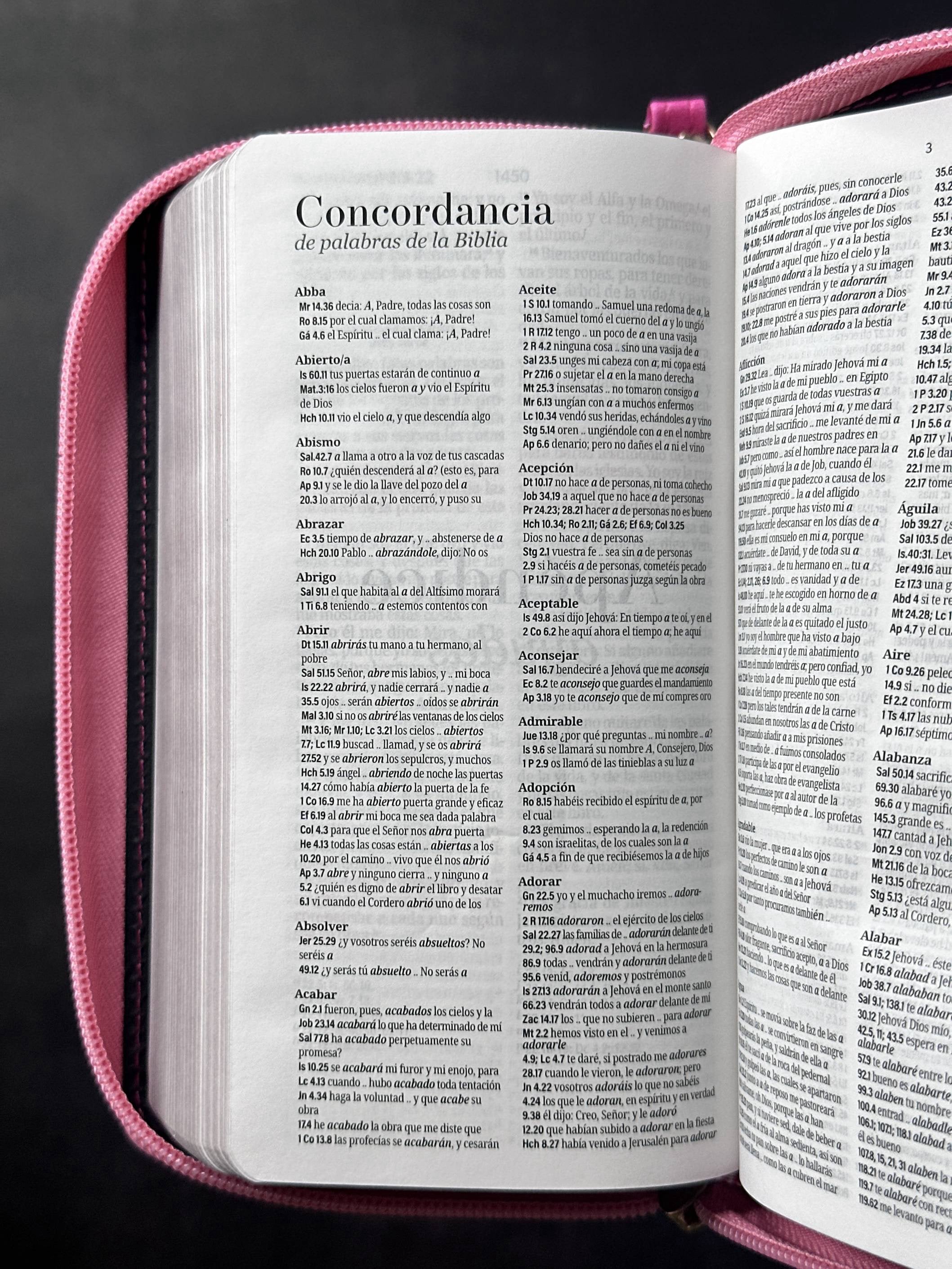 Biblia RVR60 Chequera rosa con cierre