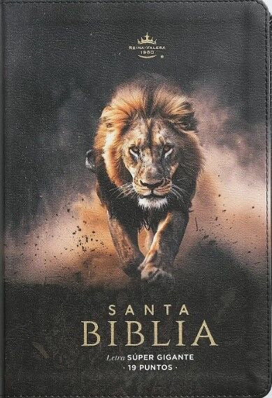 Libreria Cristiana Arca