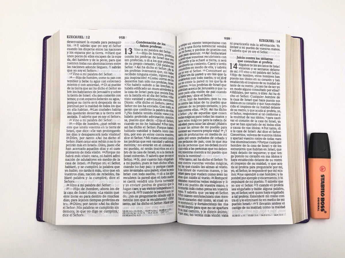 Biblia RVR2020 Tamaño Manual Letra Grande