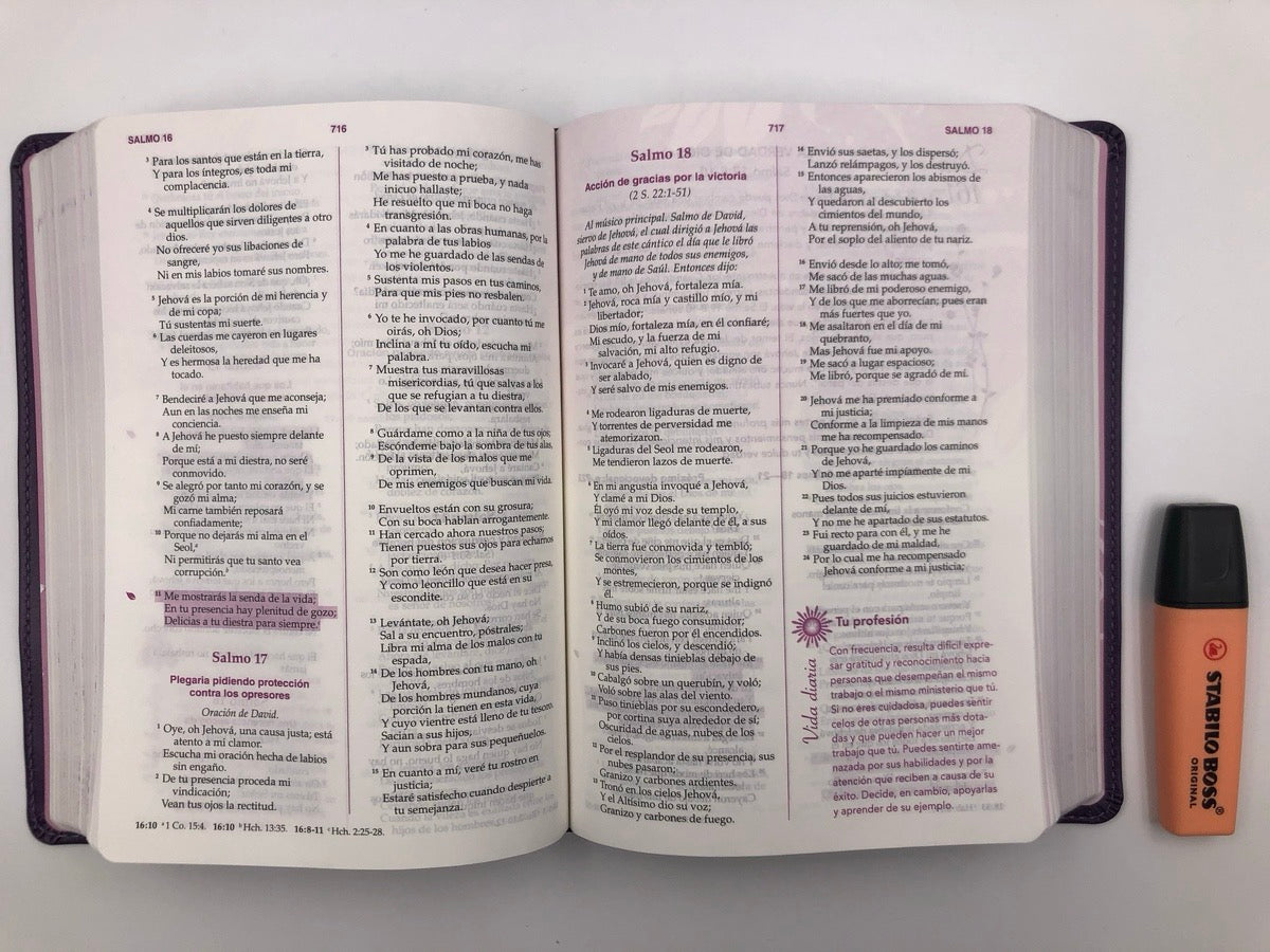 Biblia RVR 1960 de la Mujer Conforme al Corazón de Dios
