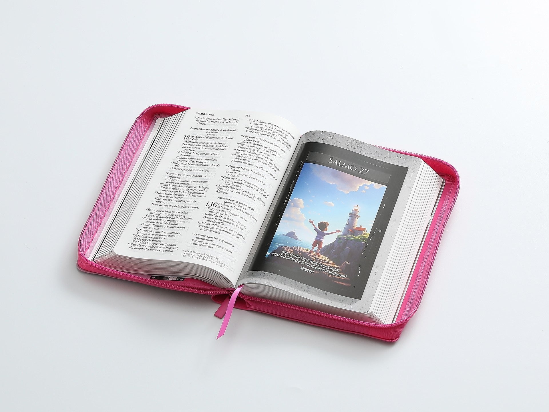 Biblia RVR 1960 Letra Grande Rosa