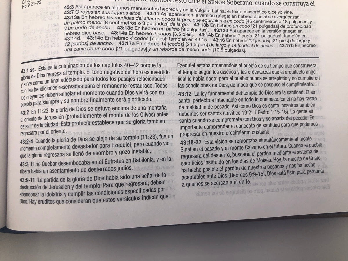 Biblia NTV de Estudio Diario Vivir Letra Grande