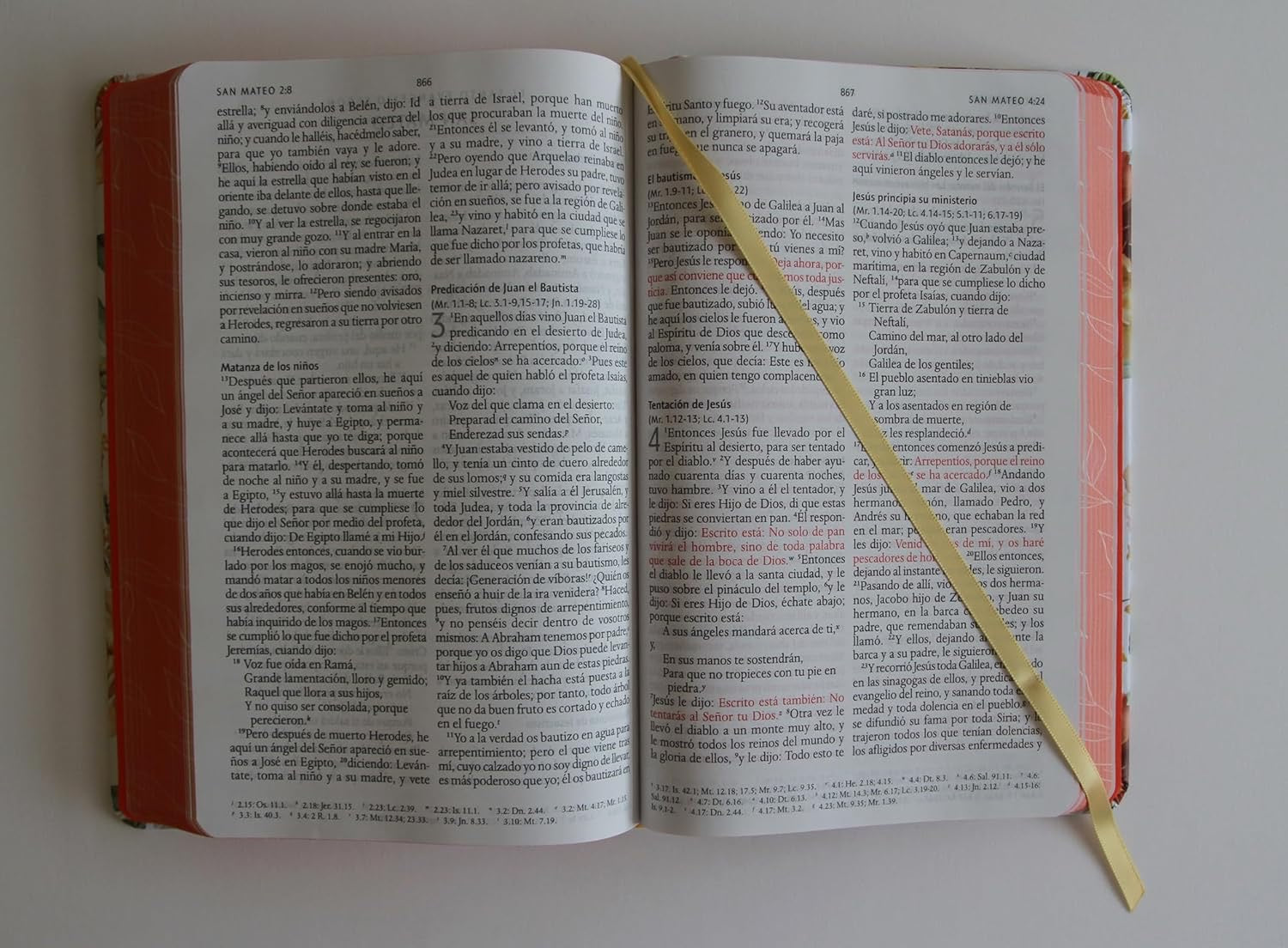 Libreria Cristiana Arca