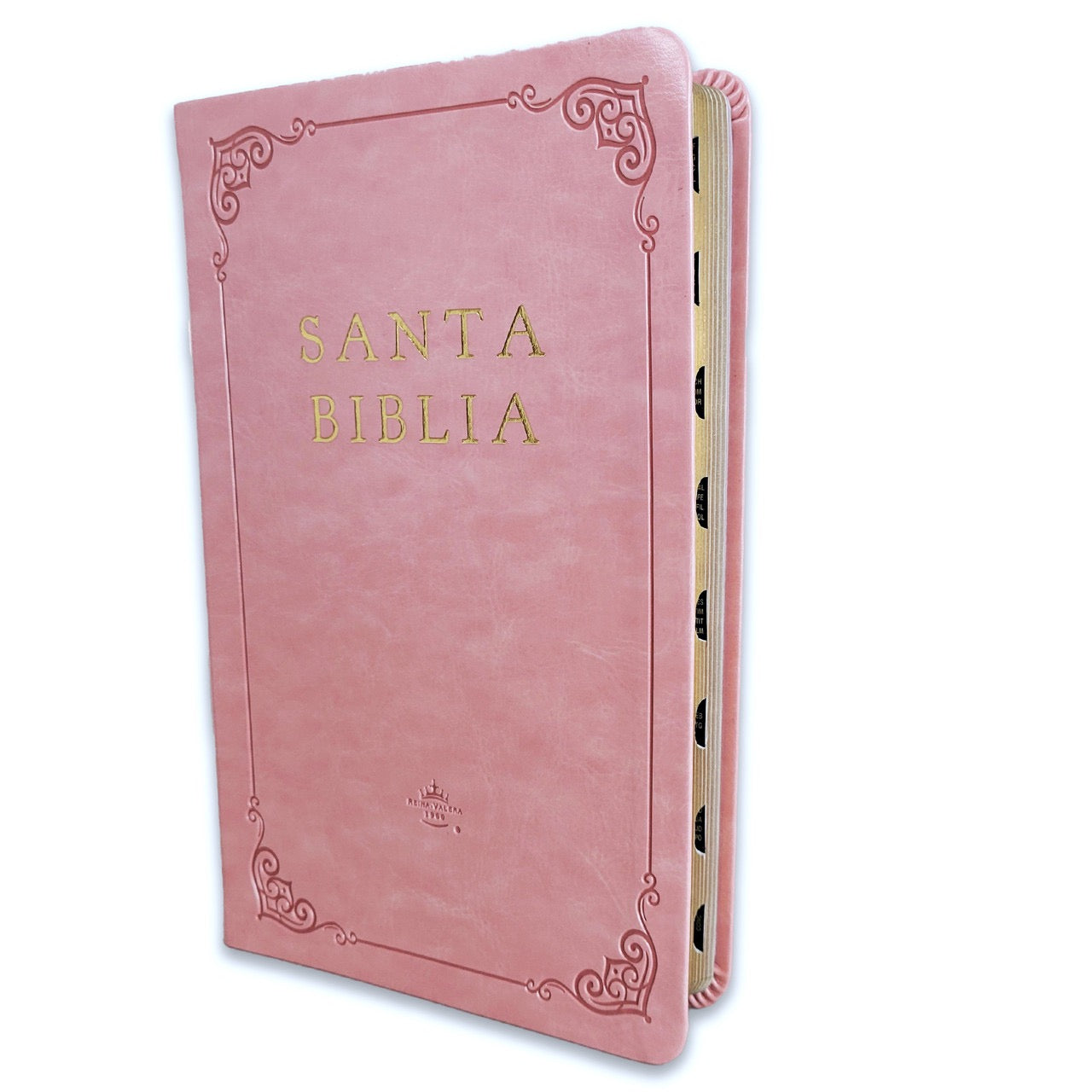 Biblia RVR 1960 Letra Grande Tamaño Manual Rosada