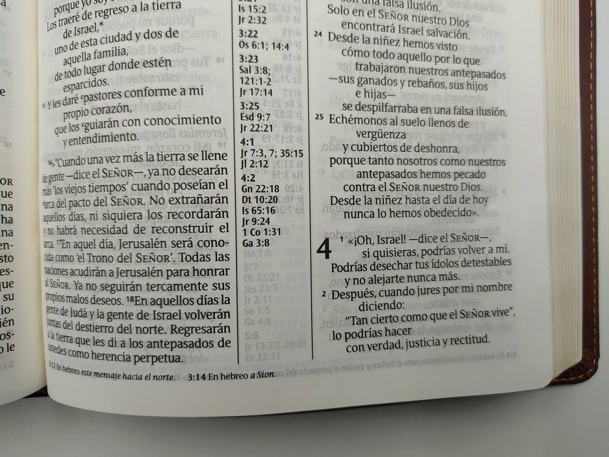 Biblia NTV de Referencia Ultrafina Letra Grande