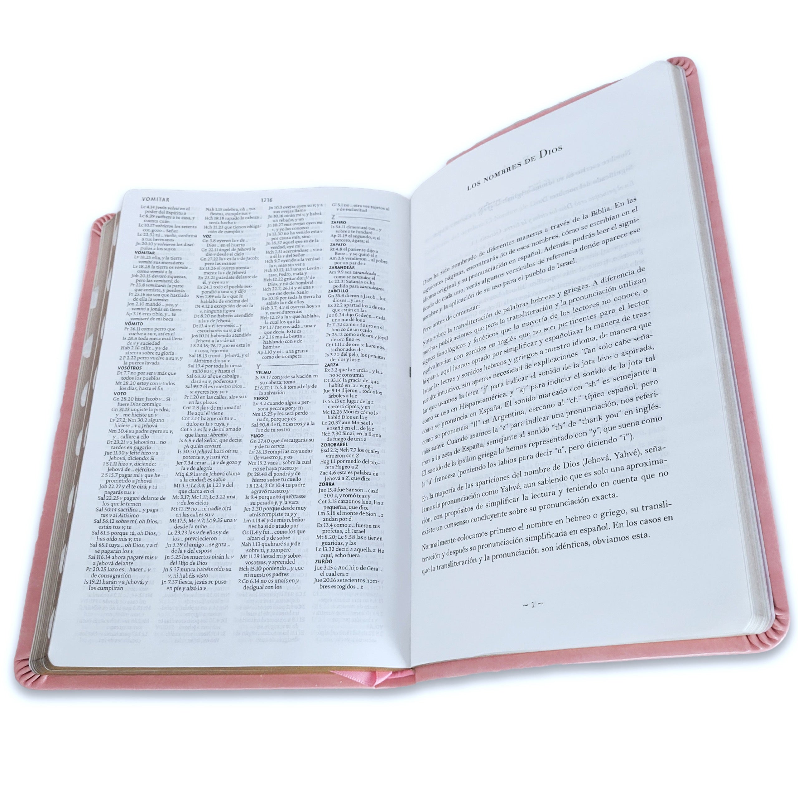 Biblia RVR 1960 Letra Grande Tamaño Manual Rosada