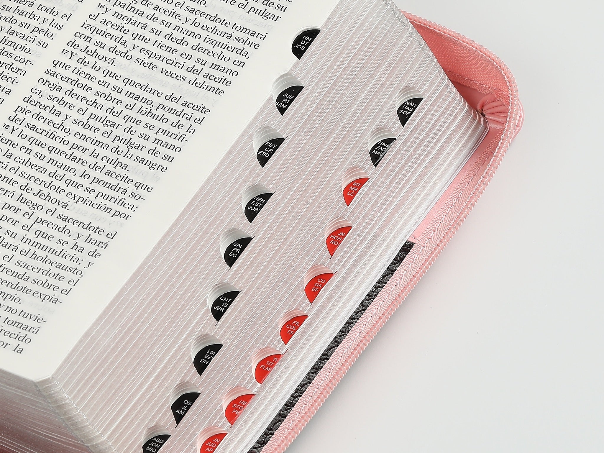 Biblia RVR 1960 Letra Grande Tamaño Manual Rosa