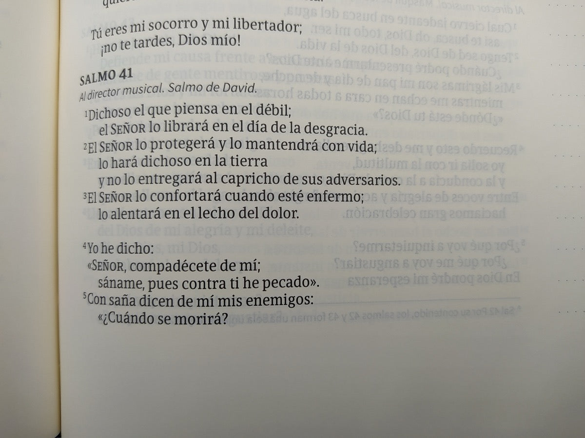 Biblia NVI de Apuntes Letra Grande