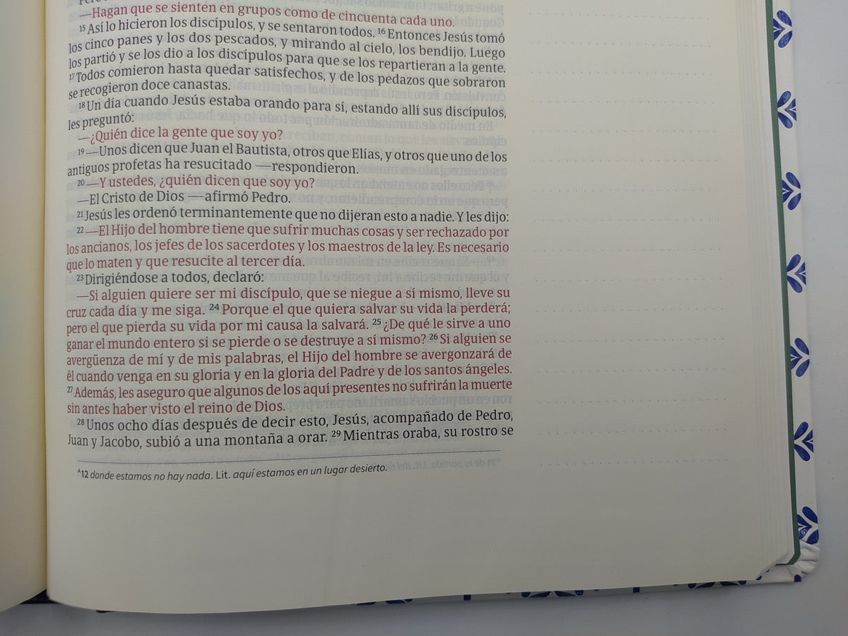 Biblia NVI de Apuntes Letra Grande