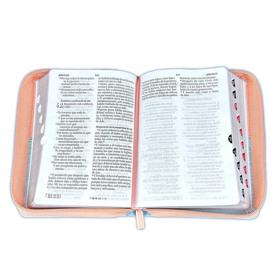 Biblia RVR 1960 Letra Grande Tamaño Manual Pájaros