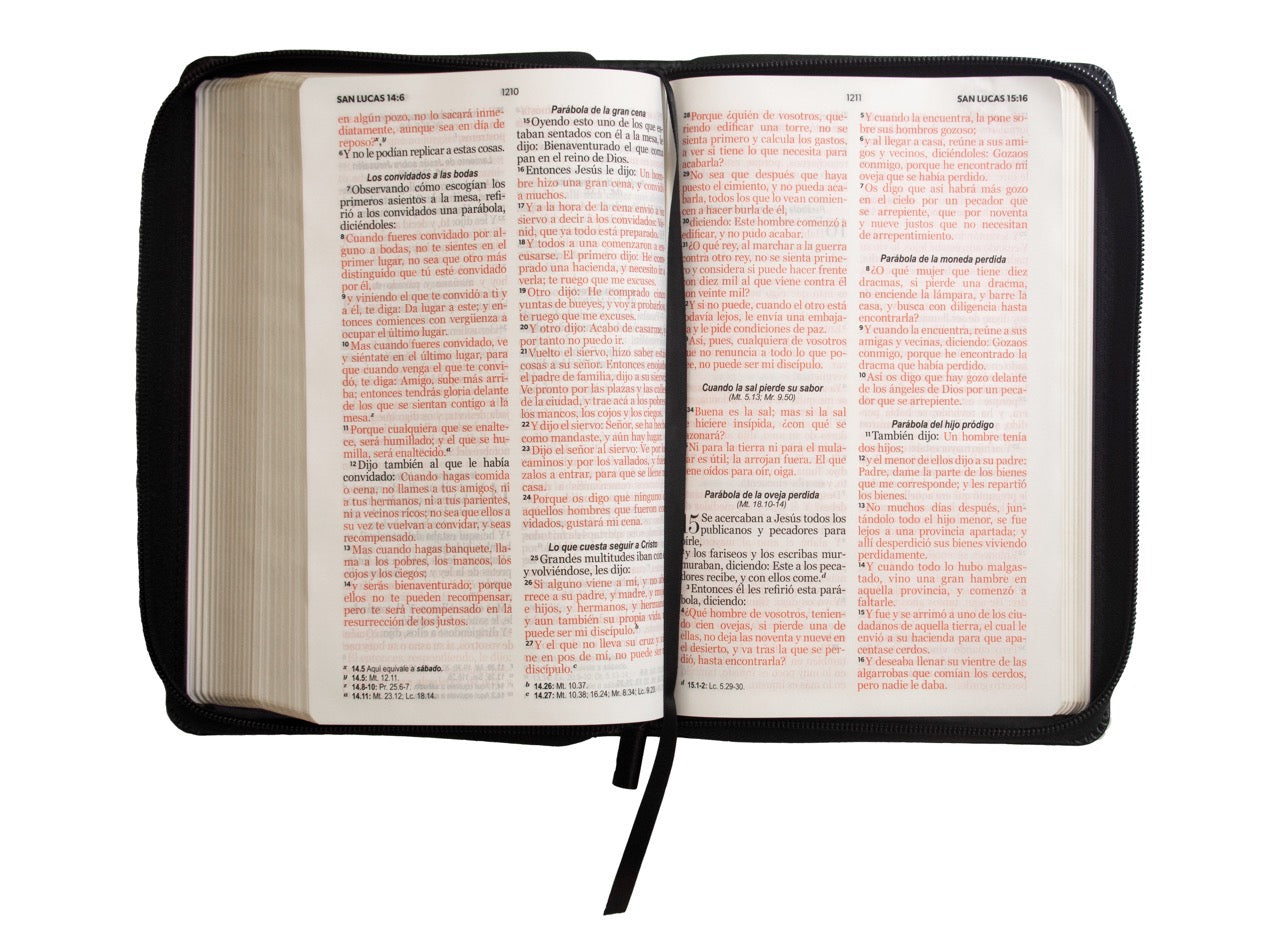Libreria Cristiana Arca