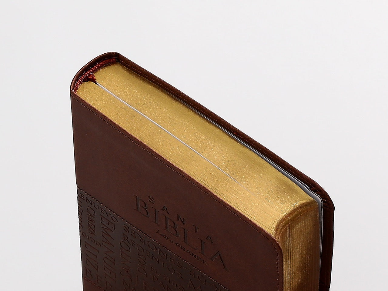 Biblia NVI letra grande café