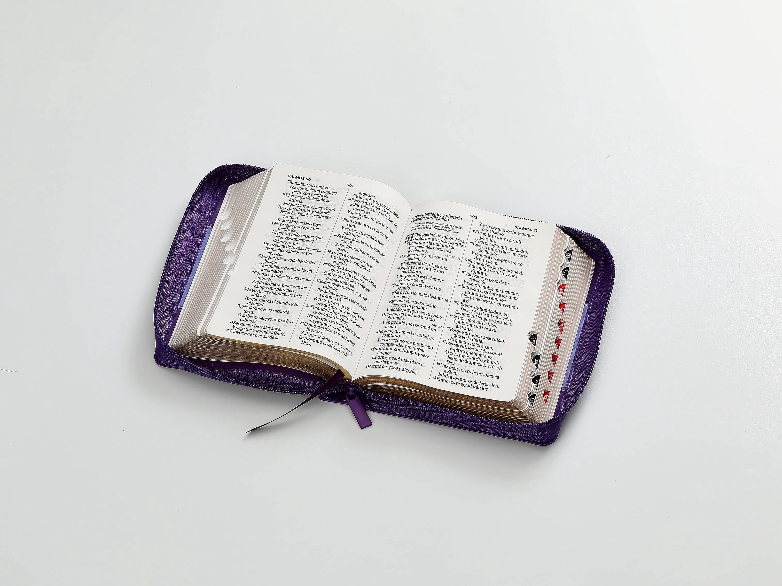 Libreria Cristiana Arca
