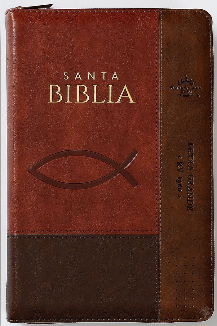Libreria Cristiana Arca