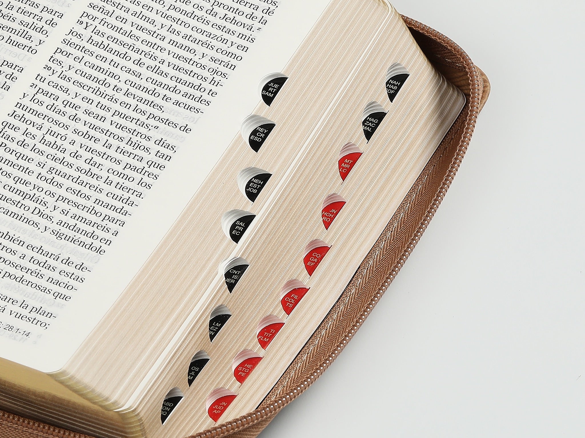 Biblia RVR60 portátil Letra Grande 11 puntos con cierre águila