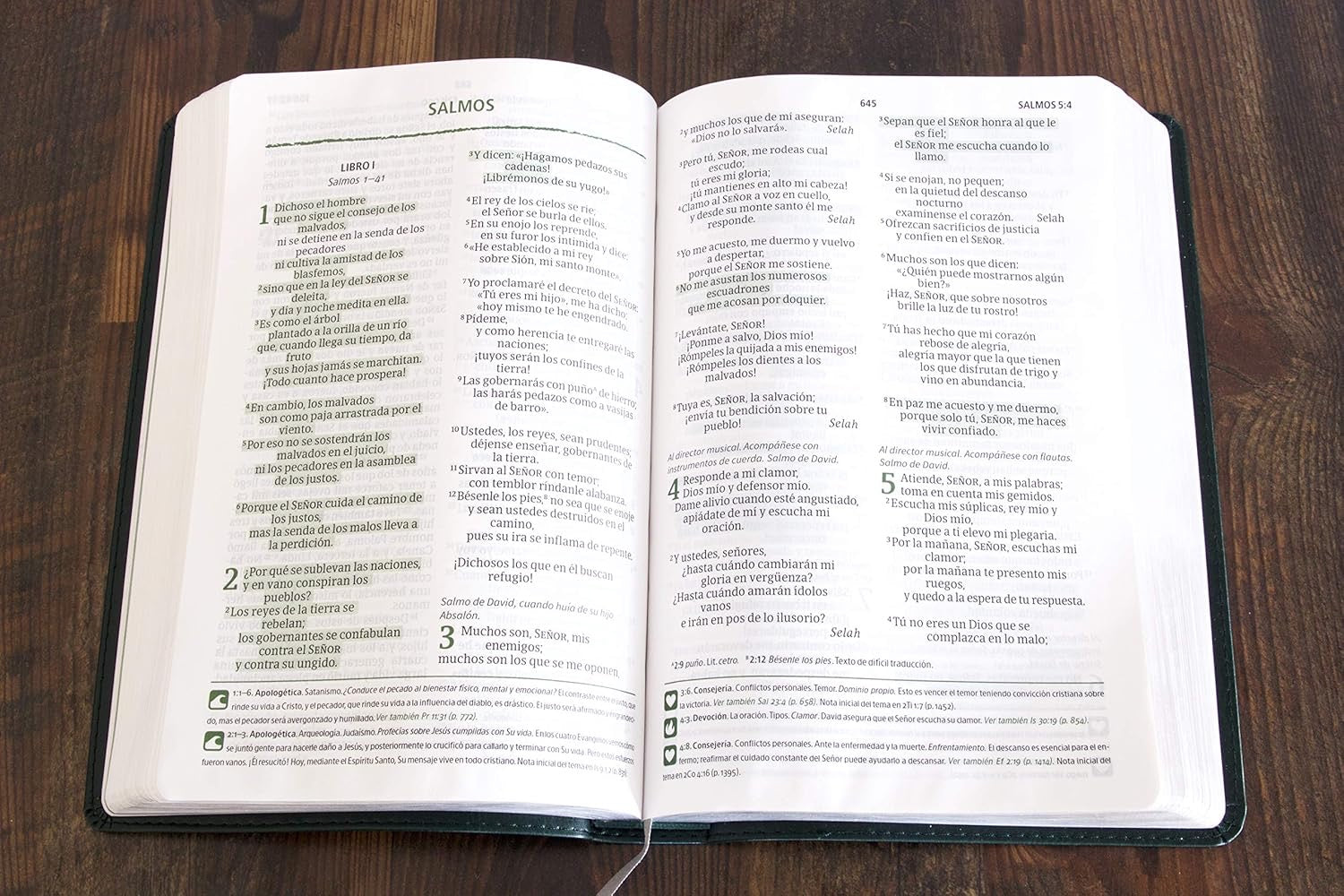 Biblia NVI del Pescador Letra Grande