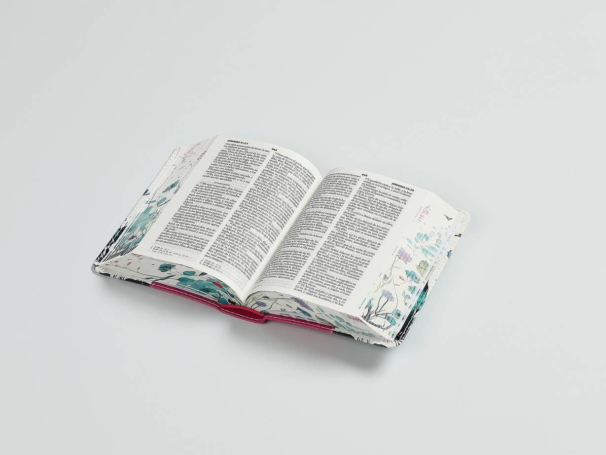 Libreria Cristiana Arca