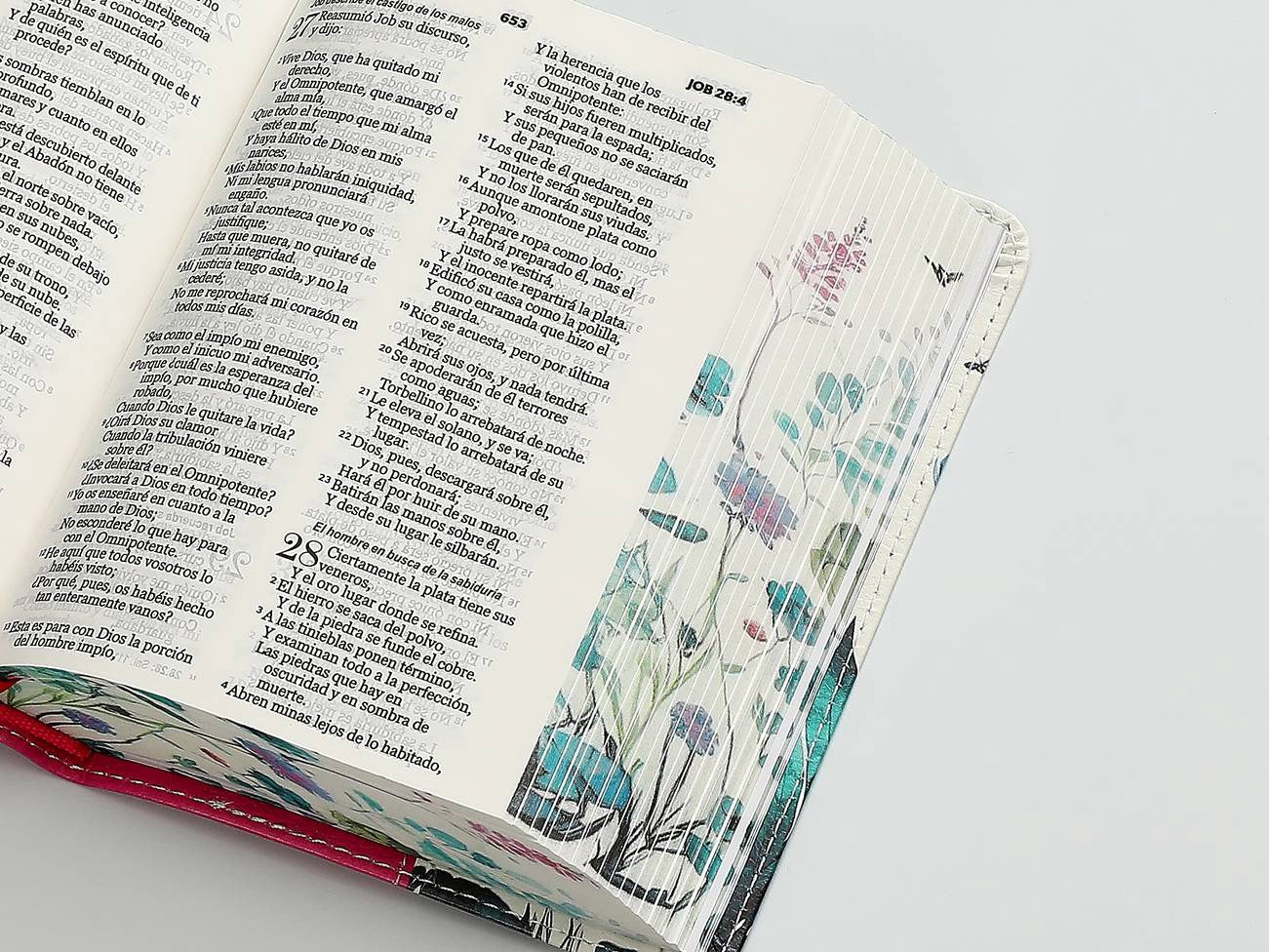 Biblia RVR60 bolsillo fucsia