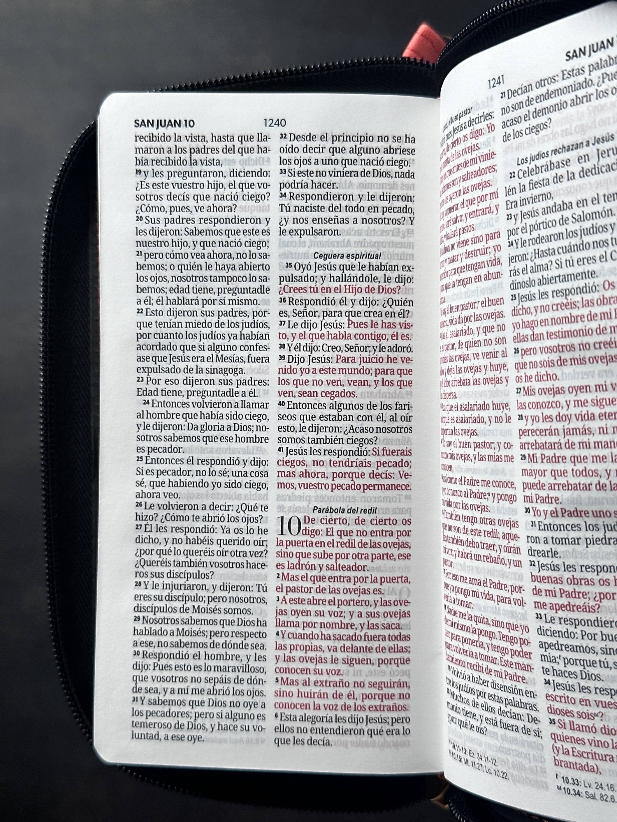 Libreria Cristiana Arca