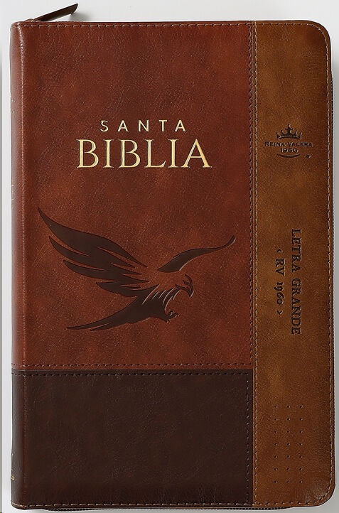 Libreria Cristiana Arca