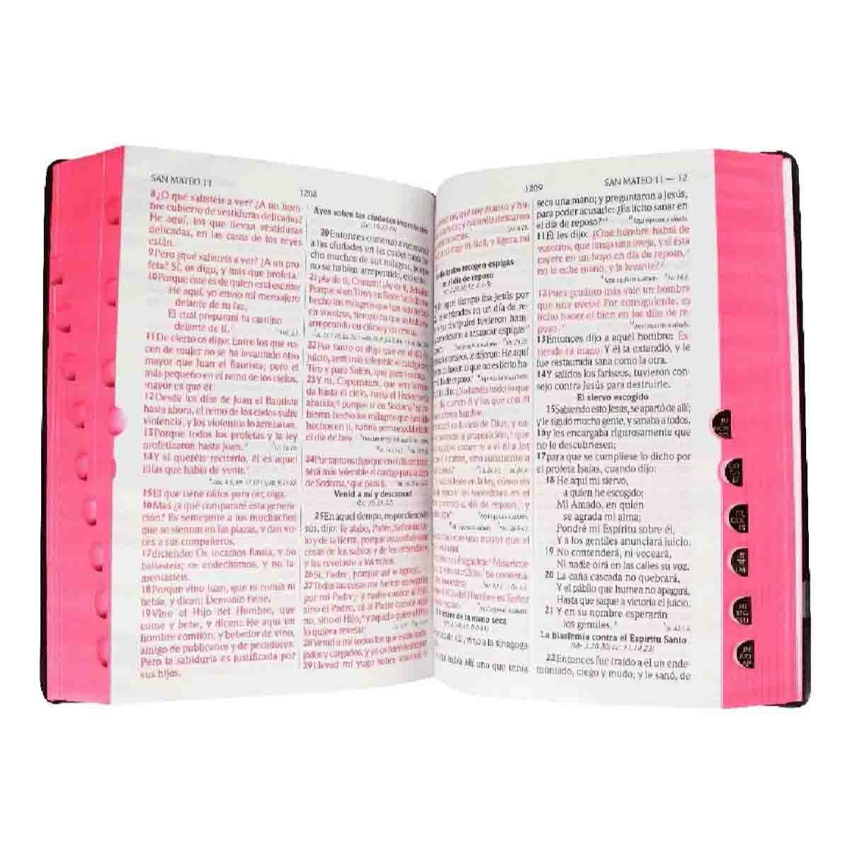 Biblia RVR 1960 Vinilo Negro con Índice