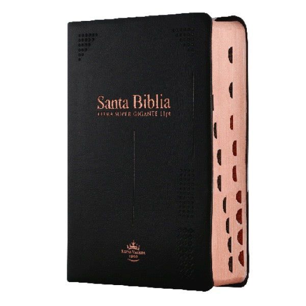 Libreria Cristiana Arca