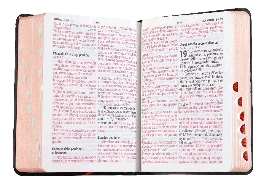 Libreria Cristiana Arca