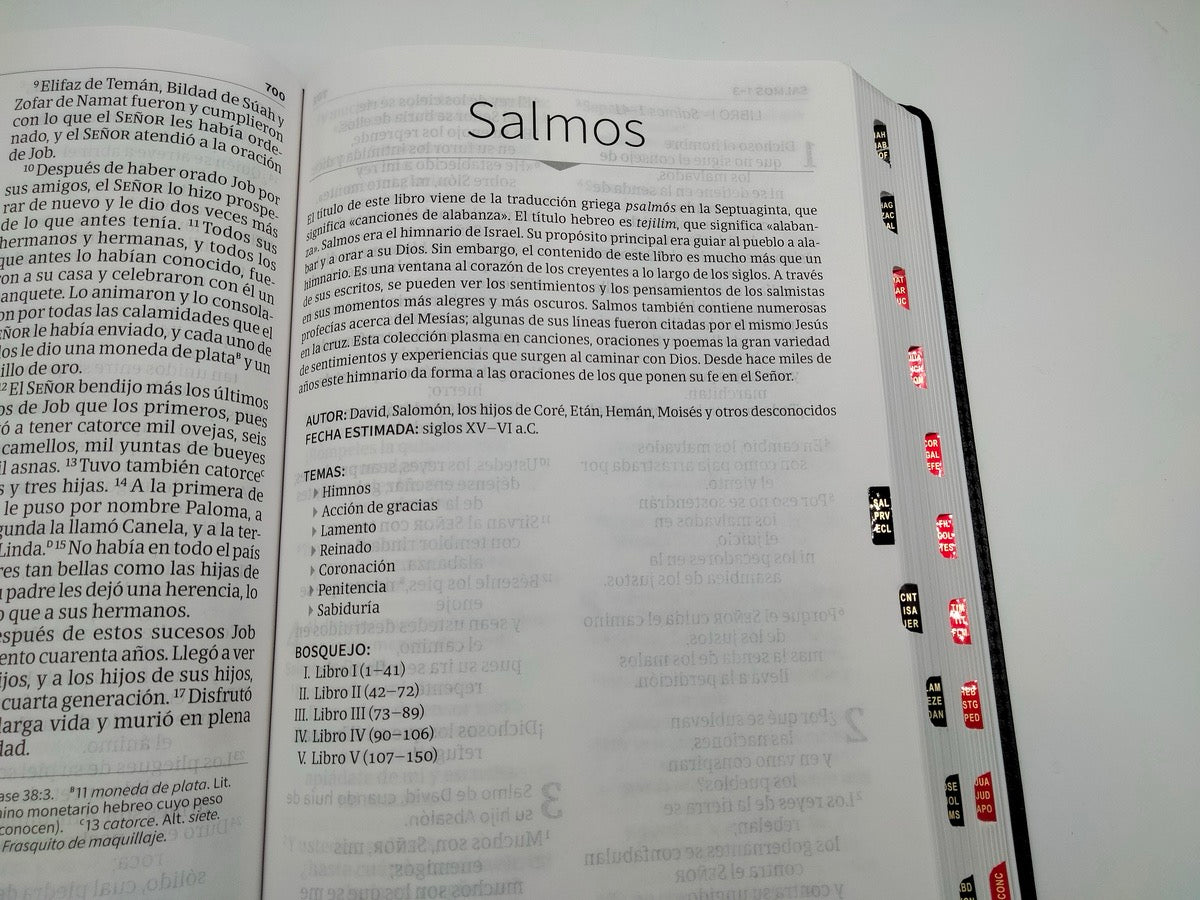 Biblia NVI Letra Súper Gigante