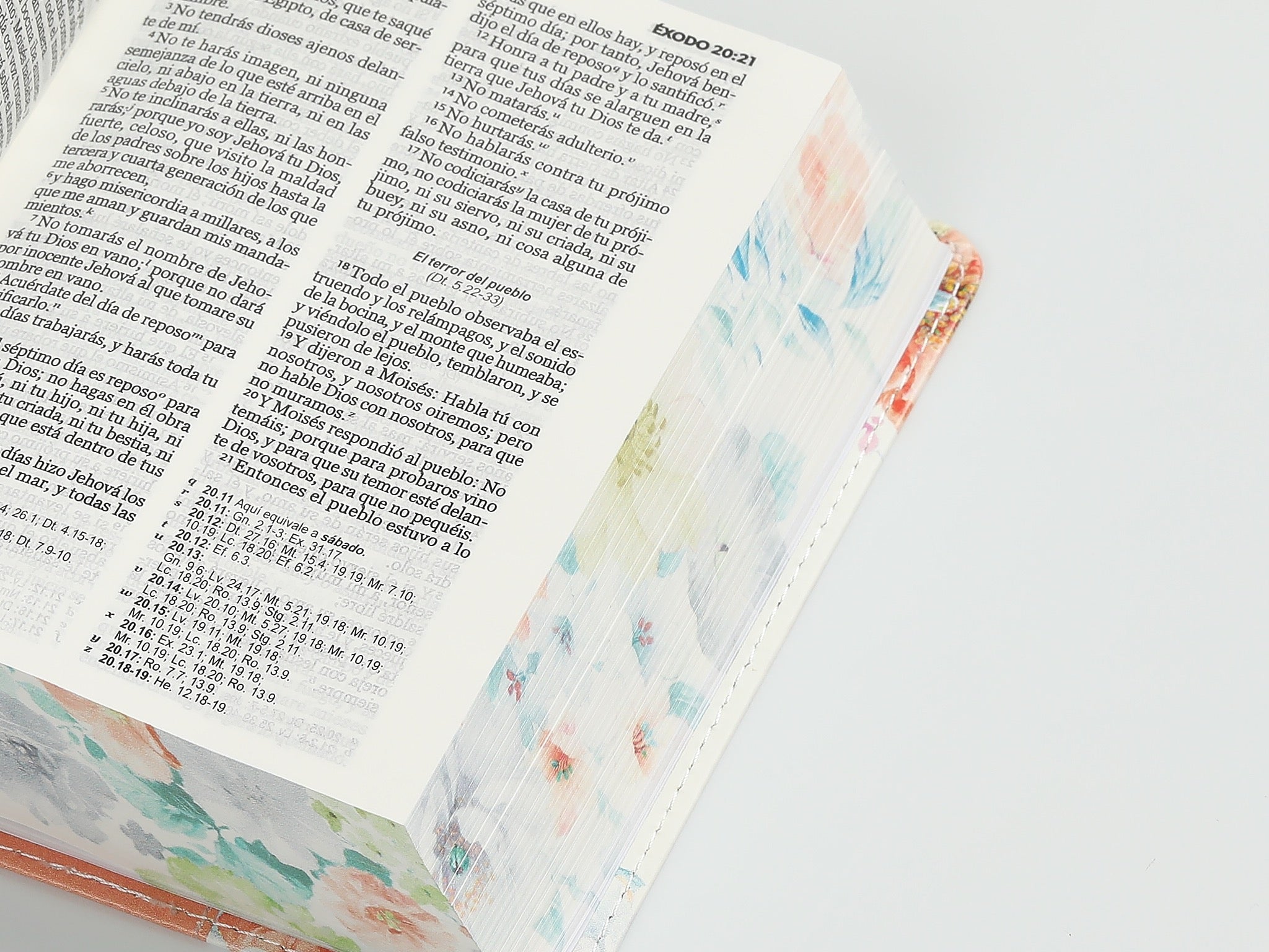 Biblia RVR60 bolsillo coral