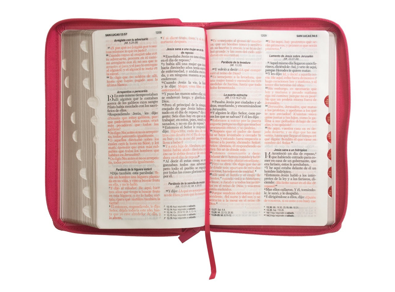 Libreria Cristiana Arca
