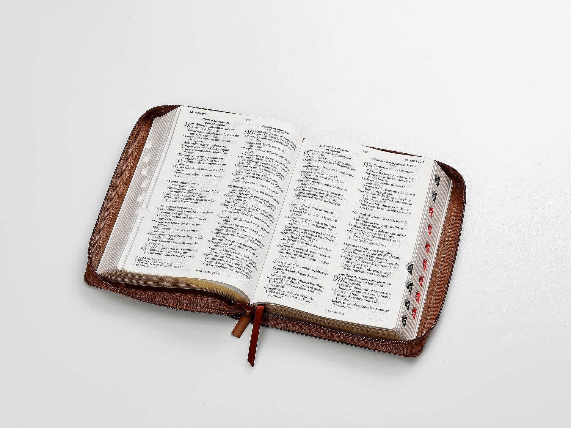 Libreria Cristiana Arca